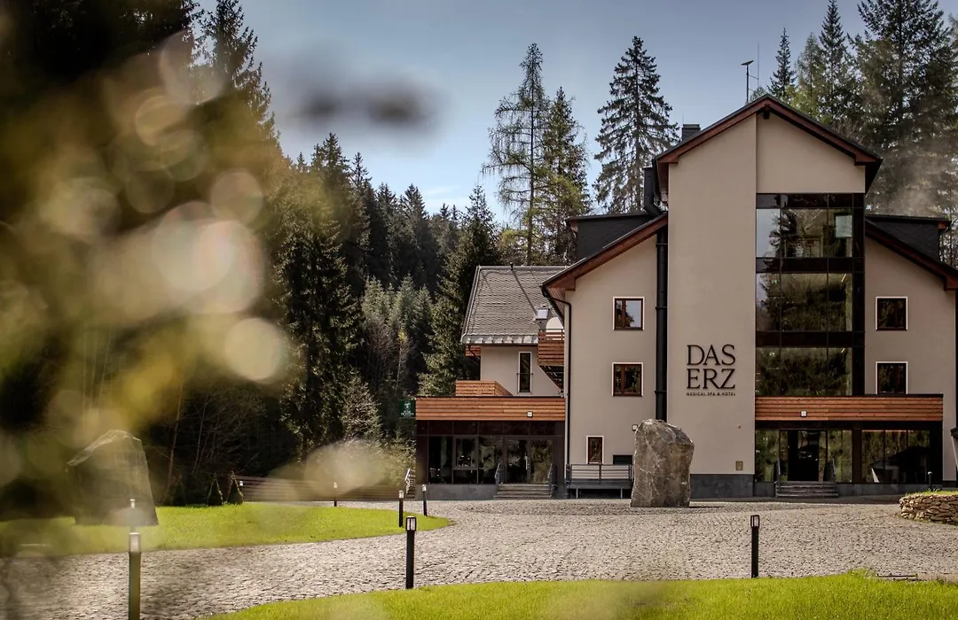 Das Erz Medical Spa & Hotel-1